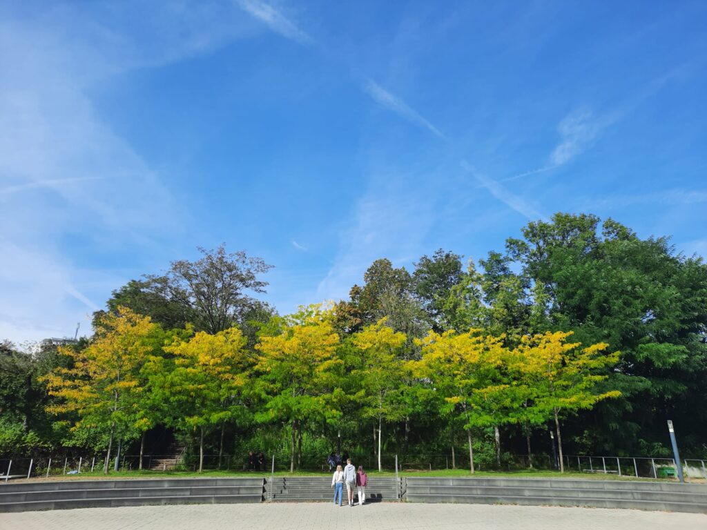 Schöne Herbstferien!