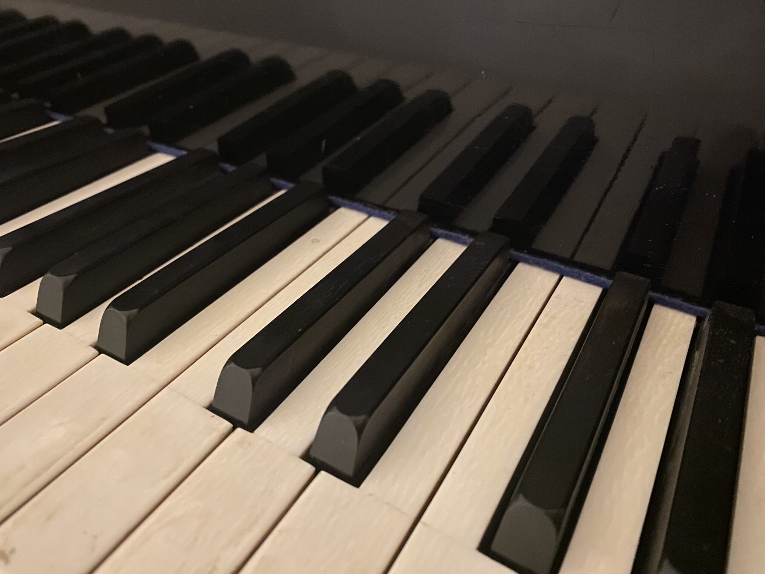 🏆🎵 Nicht nur Mathe – auch Musik auf höchstem Niveau 🎹🥇